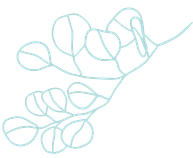 Skin Care Sarasota | Skincare Couture Facial Spa